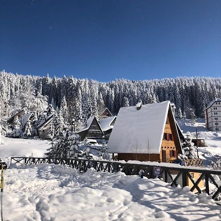 Vila Irina - Apartman Milos Kopaonik Bagian luar foto