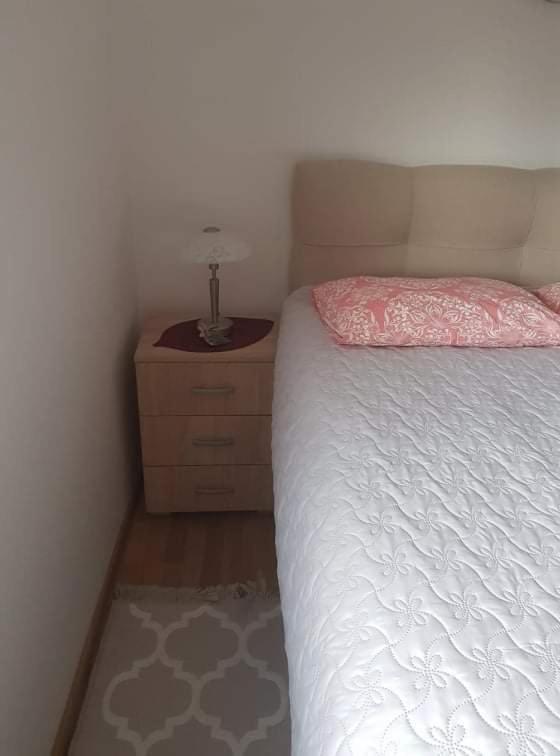 Vila Irina - Apartman Milos Kopaonik Bagian luar foto