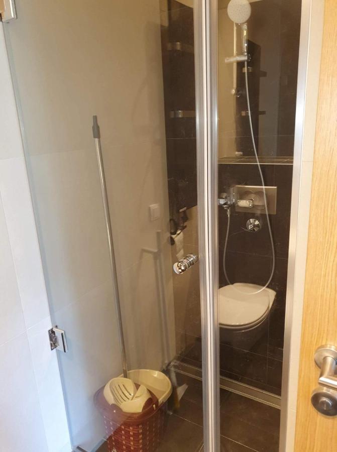 Vila Irina - Apartman Milos Kopaonik Bagian luar foto