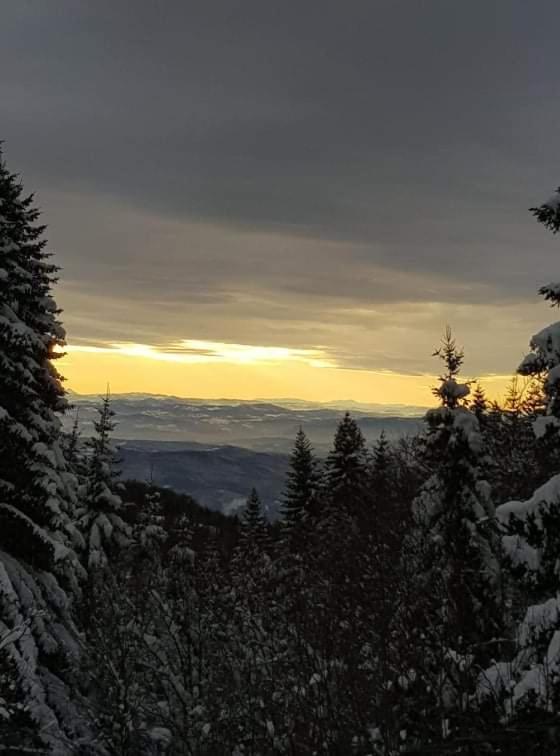 Vila Irina - Apartman Milos Kopaonik Bagian luar foto
