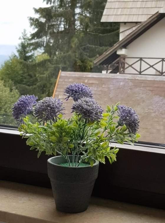 Vila Irina - Apartman Milos Kopaonik Bagian luar foto