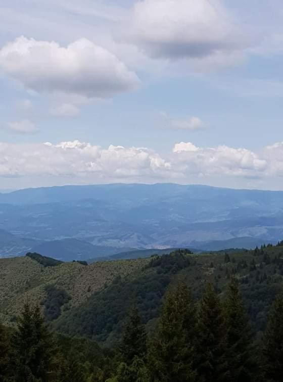 Vila Irina - Apartman Milos Kopaonik Bagian luar foto