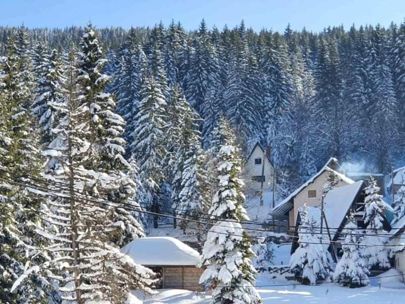 Vila Irina - Apartman Milos Kopaonik Bagian luar foto