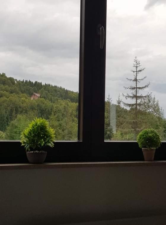 Vila Irina - Apartman Milos Kopaonik Bagian luar foto