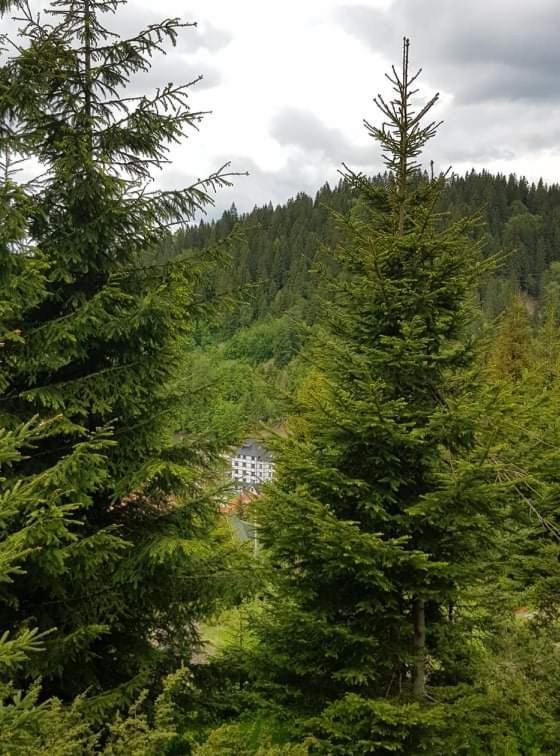 Vila Irina - Apartman Milos Kopaonik Bagian luar foto