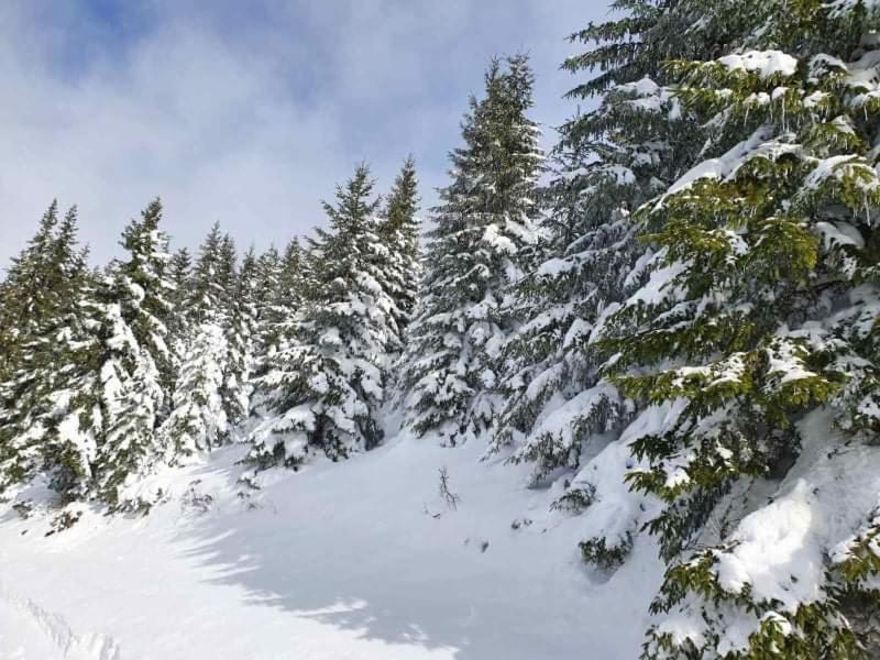 Vila Irina - Apartman Milos Kopaonik Bagian luar foto
