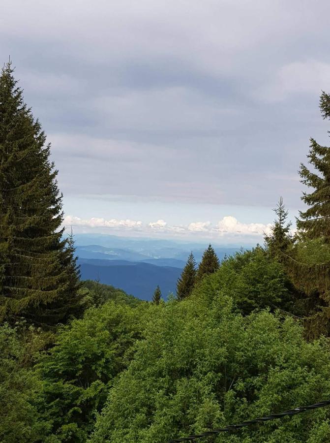 Vila Irina - Apartman Milos Kopaonik Bagian luar foto