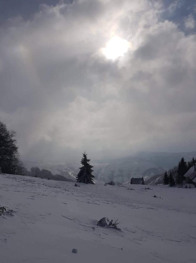 Vila Irina - Apartman Milos Kopaonik Bagian luar foto