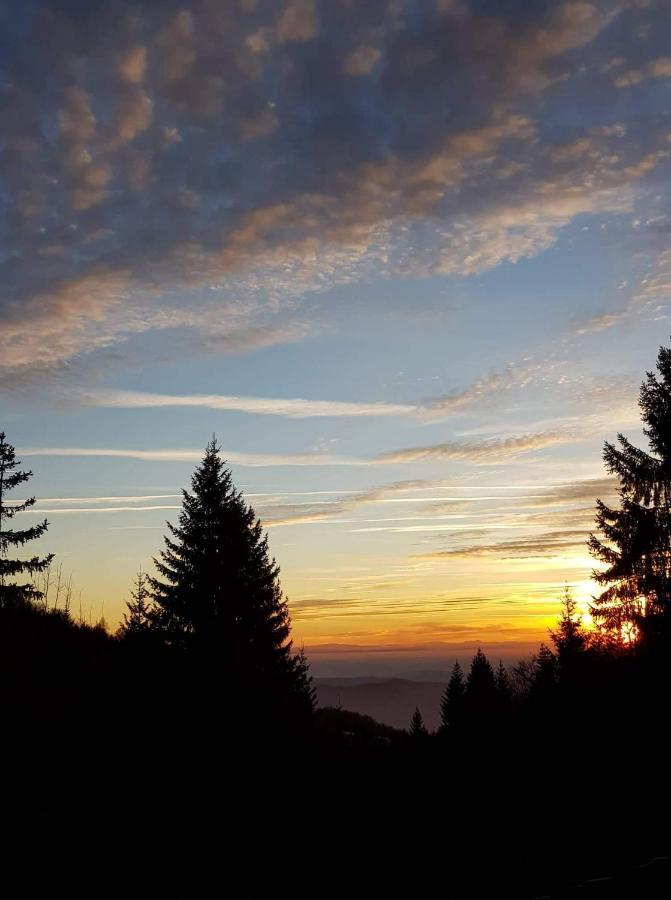 Vila Irina - Apartman Milos Kopaonik Bagian luar foto