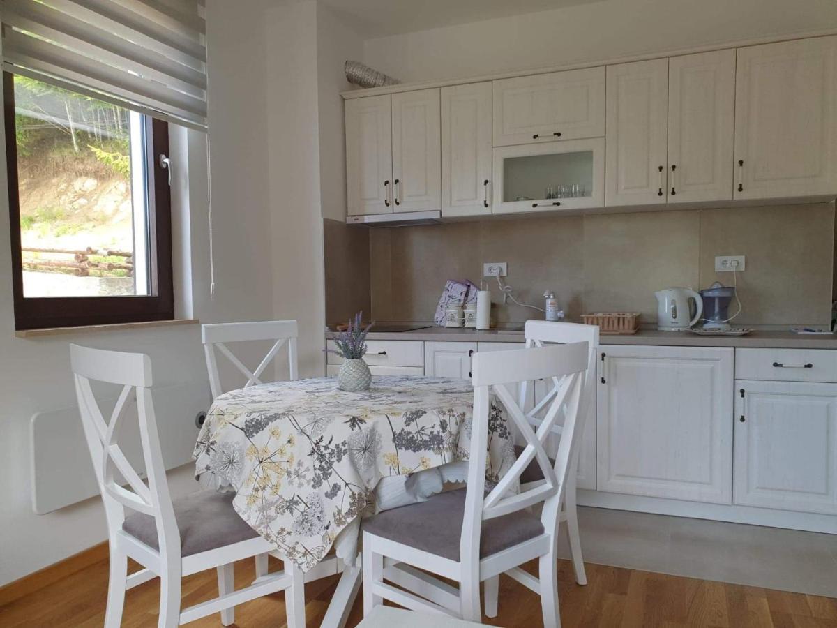 Vila Irina - Apartman Milos Kopaonik Bagian luar foto