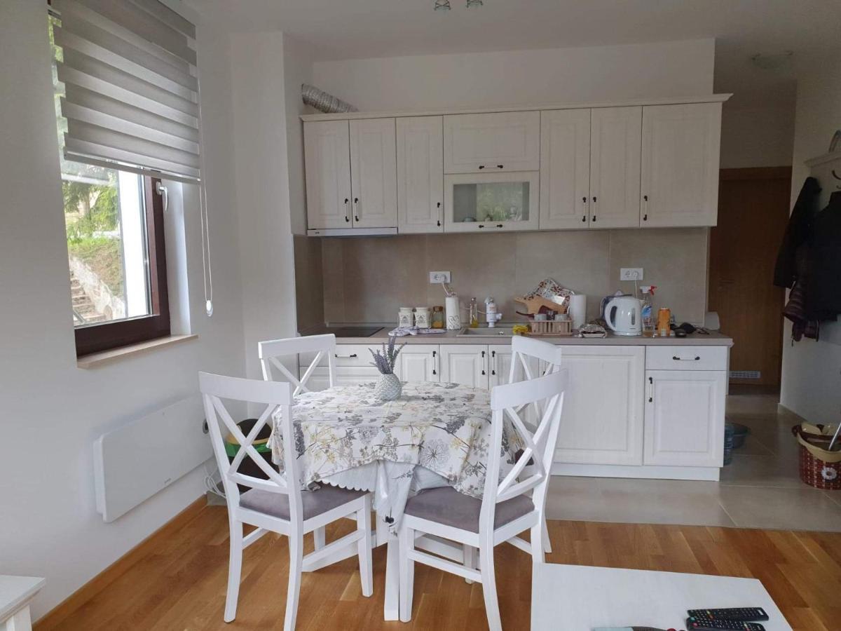 Vila Irina - Apartman Milos Kopaonik Bagian luar foto